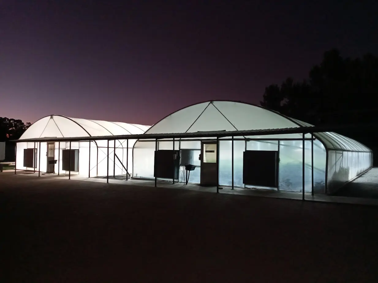 Ilco Farming export-ready supply